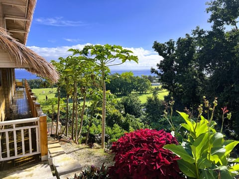 Natural landscape, View (from property/room), Garden view