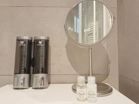 Roma Splendido alloggio con cortile privato Apartment in Rome