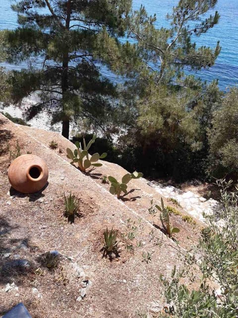 Natural landscape, Beach, Sea view