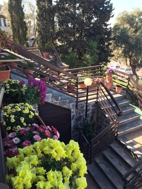 B&B Nonna Luisa Bed and breakfast in Tarquinia