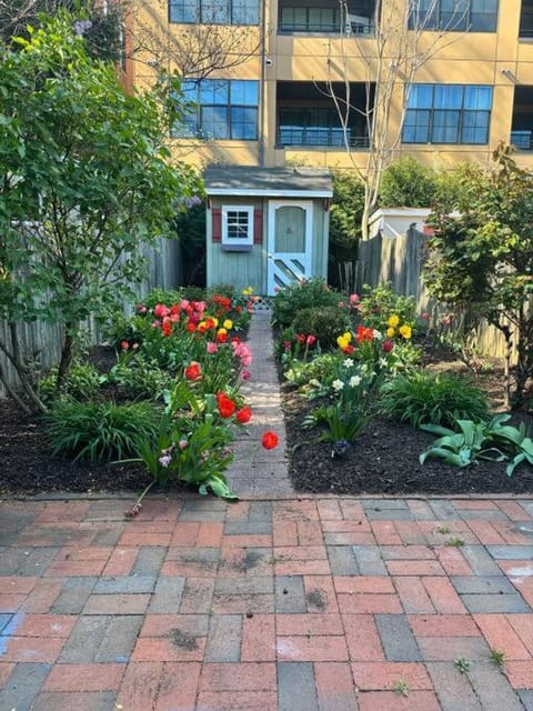 Charming Annapolis Townhome Maison in Spa Creek