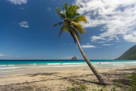 Beach, Sea view