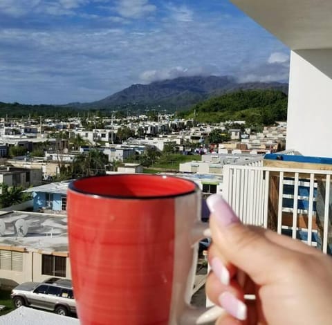 Natural landscape, View (from property/room), Balcony/Terrace, Mountain view