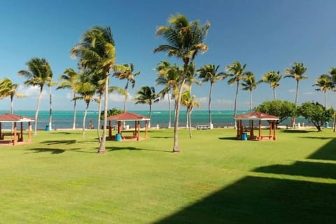 Natural landscape, On site, Sea view