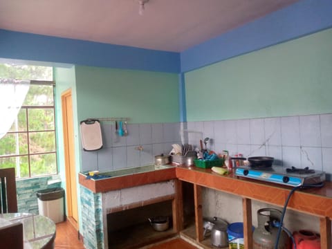 Kitchen or kitchenette, Internal: Not applicable to any particular room