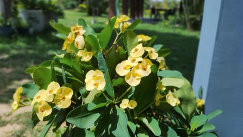 Pousada Canto Verde Vacation rental in State of Maranhão, Brazil