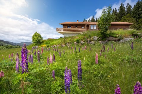 Property building, Day, Natural landscape, Garden, Garden view, Mountain view