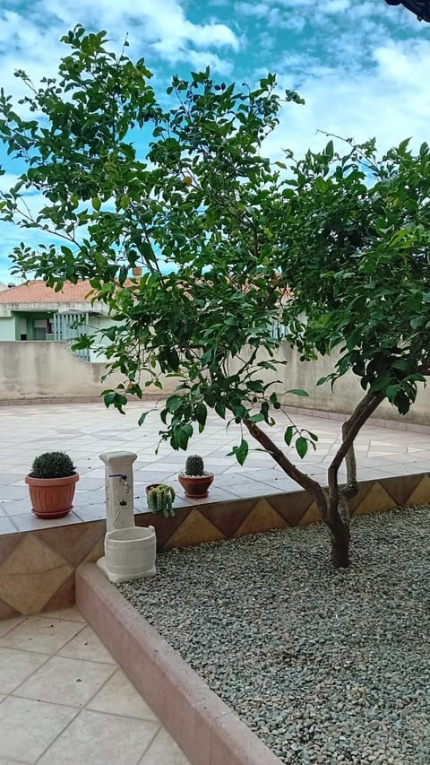 La terrazza Apartment in Muravera