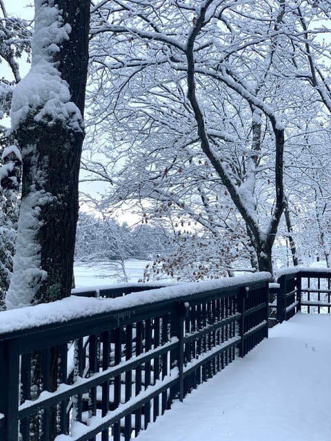 Winter, Balcony/Terrace