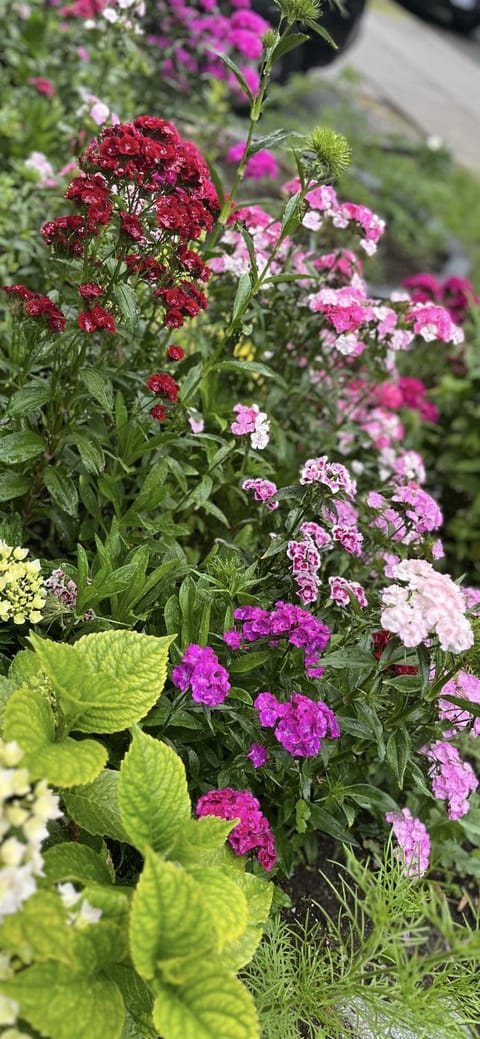 Property building, Day, Garden, Garden, Garden view