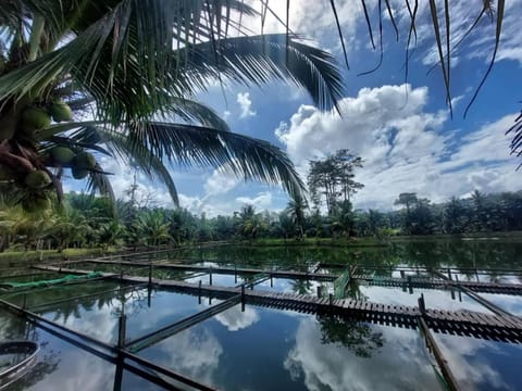 Villa Kolam Legenda Campground/ 
RV Resort in Sabah