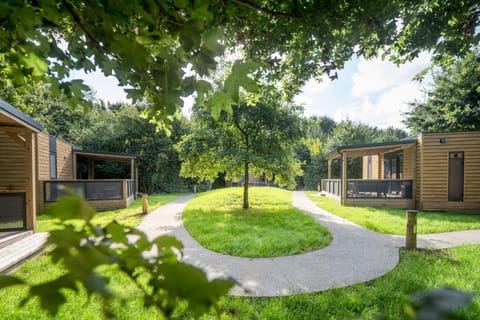 Day, Neighbourhood, Garden, Garden view