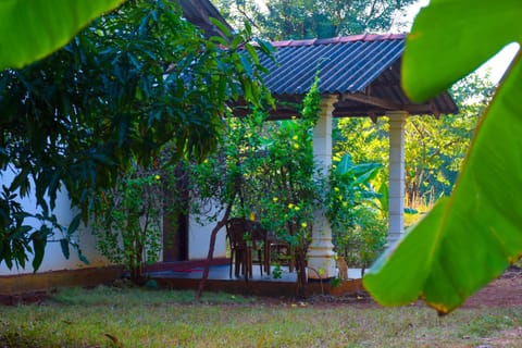 Senu Homestay Bed and Breakfast in Dambulla