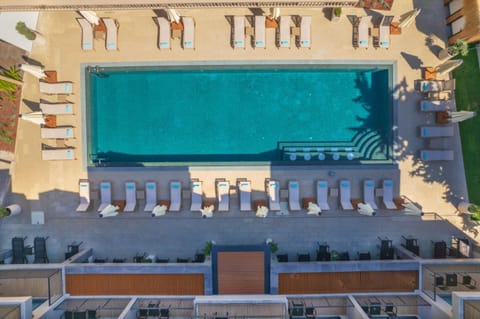 Day, Pool view, Swimming pool, sunbed