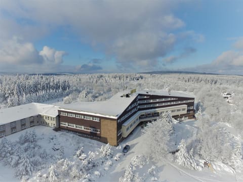 Property building, Natural landscape, Winter