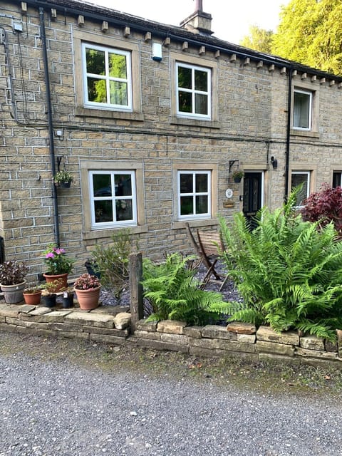 Property building, Garden, Garden view