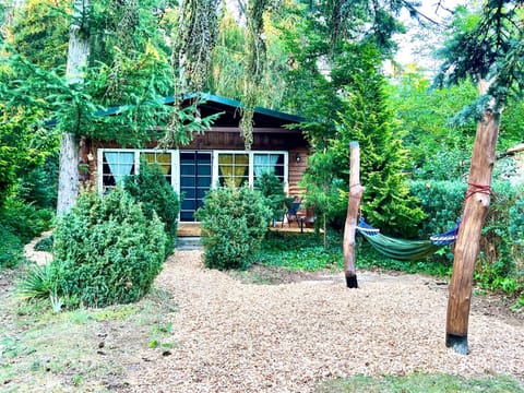 Property building, Garden view