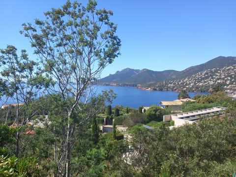 Un rêve au bord de mer Apartment in Saint-Raphael