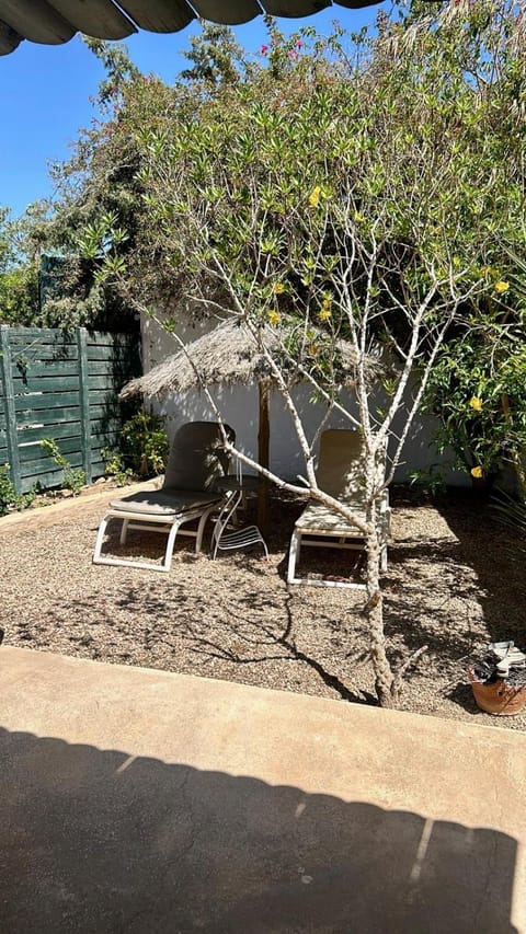 Garden, Garden view