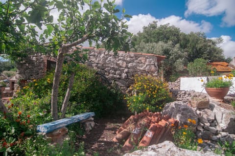 Casa do Professor House in Santarém District, Portugal