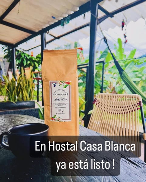 CASA BLANCA Hostal Bed and Breakfast in Minca