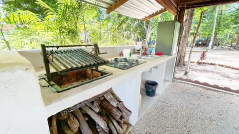 BBQ facilities, Kitchen or kitchenette