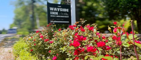 Wayside Inn Bed and Breakfast Alojamiento y desayuno in Ellicott City