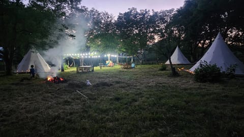 Karavani Luxury tent in Georgia