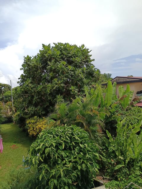 Garden, Garden view