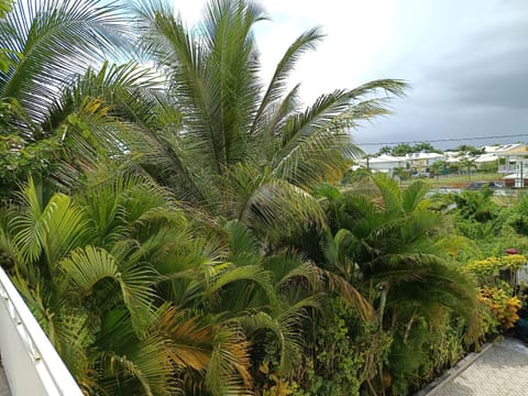 Garden, Garden view