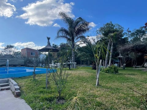 Spring, Day, Natural landscape, Garden, Garden view, Swimming pool