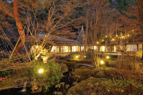 Property building, Night, Garden