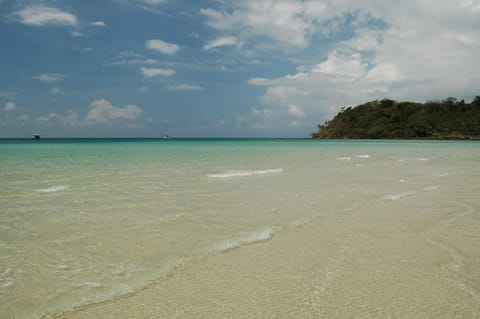 View (from property/room), Beach, Area and facilities