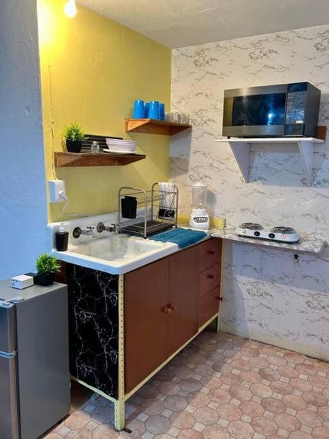 Kitchen or kitchenette, oven