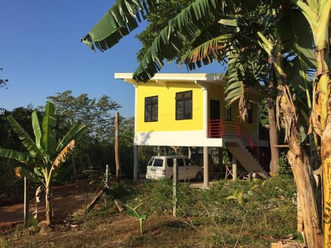 The Yellow House House in Puerto Princesa