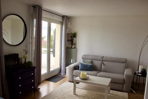 Petit ecrin Apartment in Strasbourg