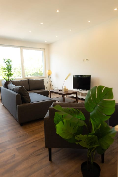 Communal lounge/ TV room, TV and multimedia, Living room, Seating area, Evening entertainment