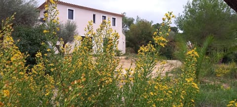 Garden, Garden view