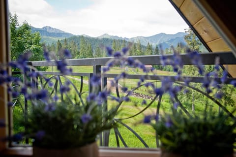 Neighbourhood, Natural landscape, Balcony/Terrace, Living room, Decorative detail, Mountain view