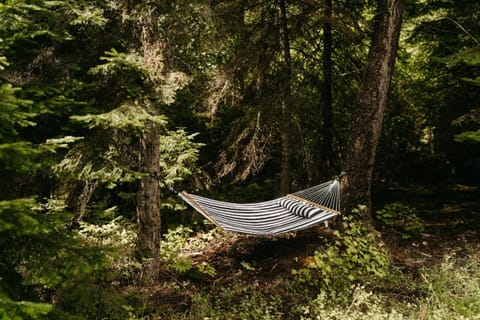 The Ski Haus A Montana Tiny Cabin Forest Retreat House in Flathead Lake