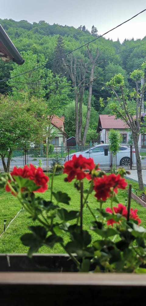 View (from property/room), Quiet street view