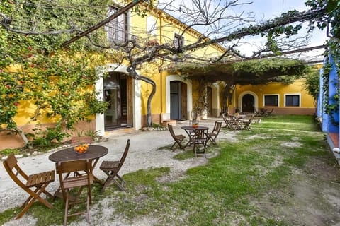 Patio, Garden, Garden view