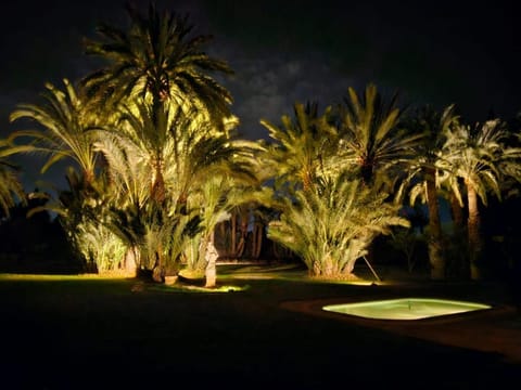 Night, Natural landscape, Garden, Garden view