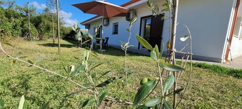 Property building, Spring, Day, Garden, Garden view