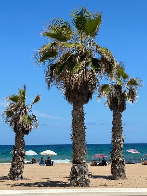 Las Casitas Del Mar House in Alacantí