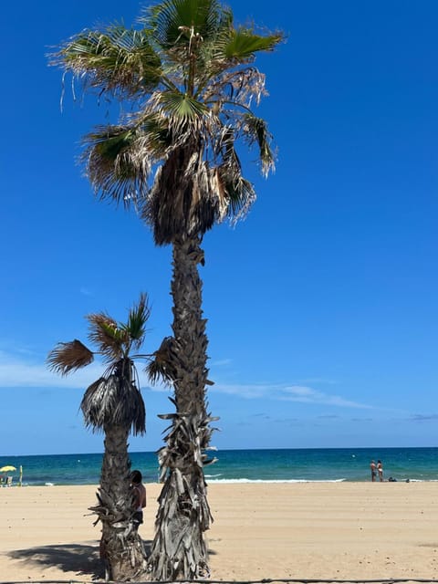 Las Casitas Del Mar House in Alacantí