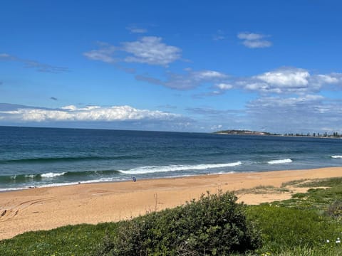 Albemarle on the Beach Apartment in Pittwater Council