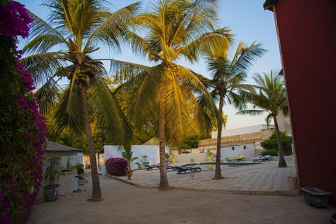 Garden, Swimming pool