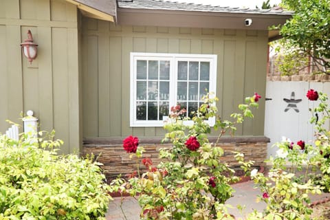 Property building, Garden view