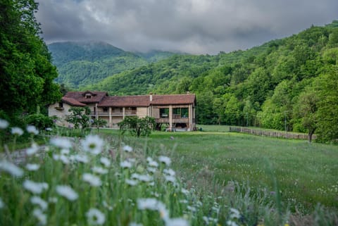 Natural landscape, Garden